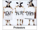 cows [avatar].jpg